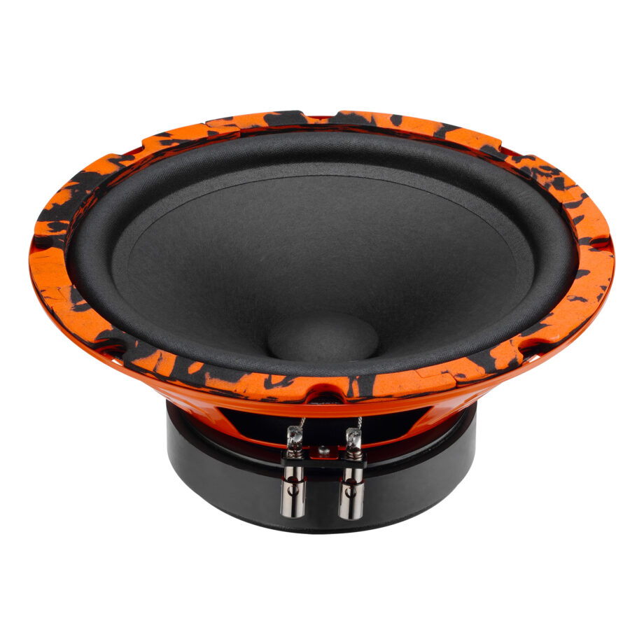 Gryphon-Pro-200-Midbass_1-920x920